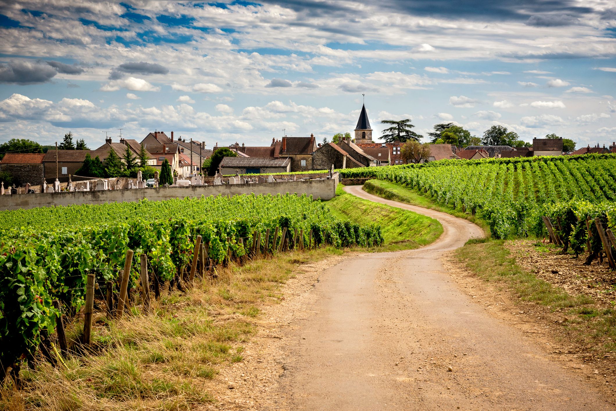Une semaine en Bourgogne, entre Beaune et Auxerre